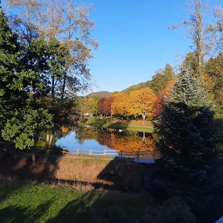 Appartement Haus Schmitten *