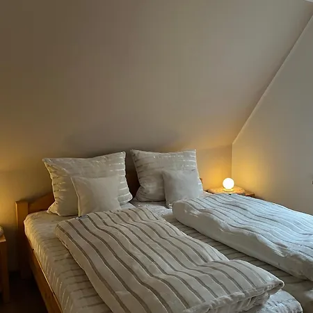 Haus Schmitten Apartament *