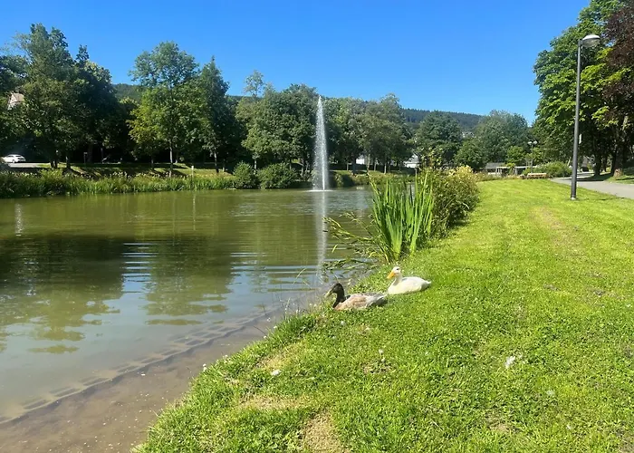 Haus Schmitten Appartement Winterberg